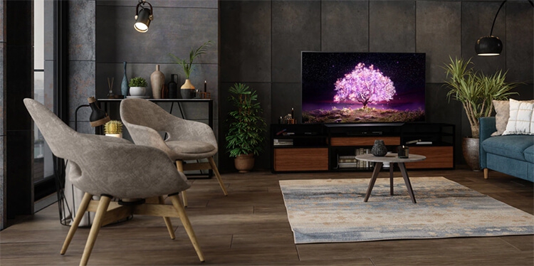 Smart Tivi OLED LG 4K 48 inch OLED48C1PTB Mới 2021 5