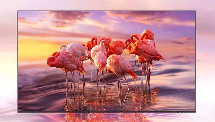 Smart Tivi QLED Samsung 4K 65 inch QA65Q60A 1