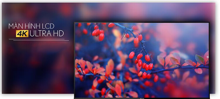 Smart Tivi Sharp 4K 55 inch 4T-C55CJ2X 2