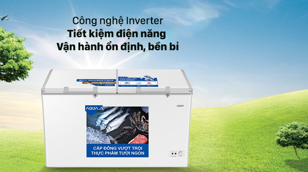 Tủ Đông Aqua 295L AQF-C4202E 1