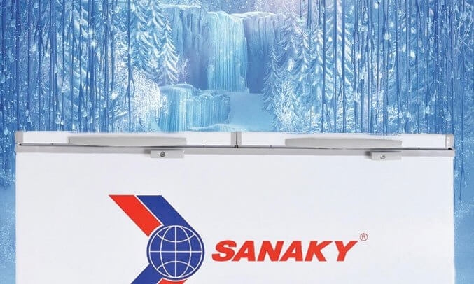Tủ Đông Sanaky VH-3699W3 (270L) 5