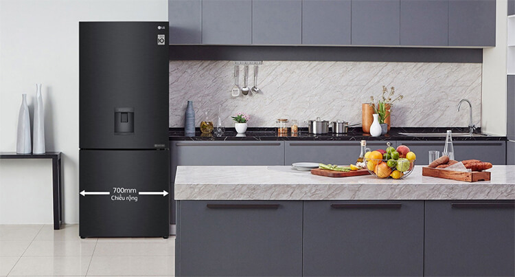 Tủ Lạnh Inervert LG GR-D405PS (454L) 8