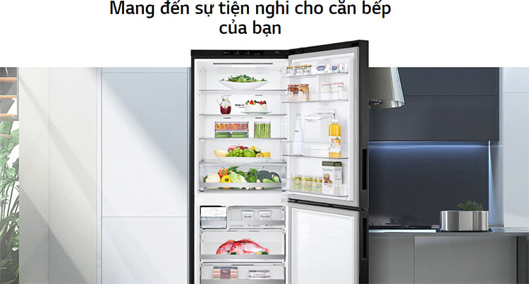 Tủ Lạnh Inervert LG GR-D405PS (454L) 6