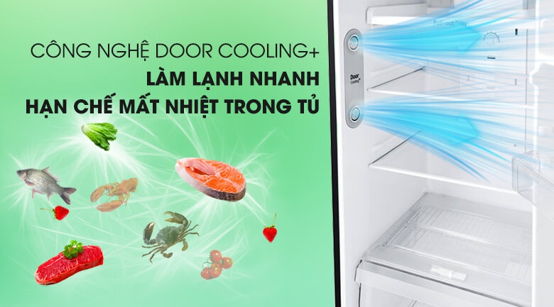 Tủ Lạnh Inverter LG GN-D315BL (315L) 5