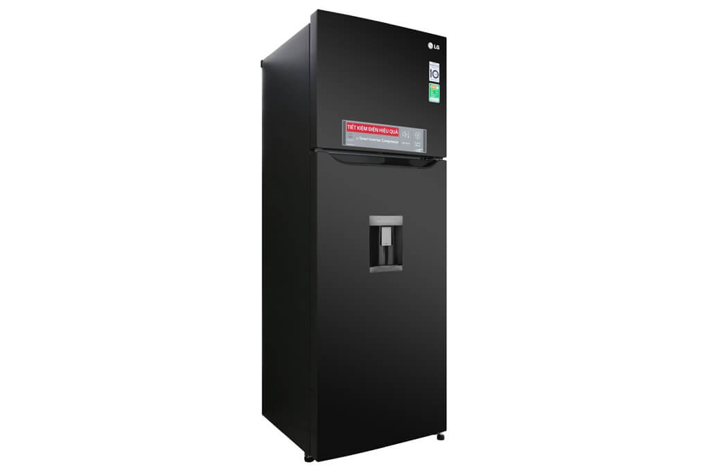 Tủ Lạnh Inverter LG GN-D315BL (315L)