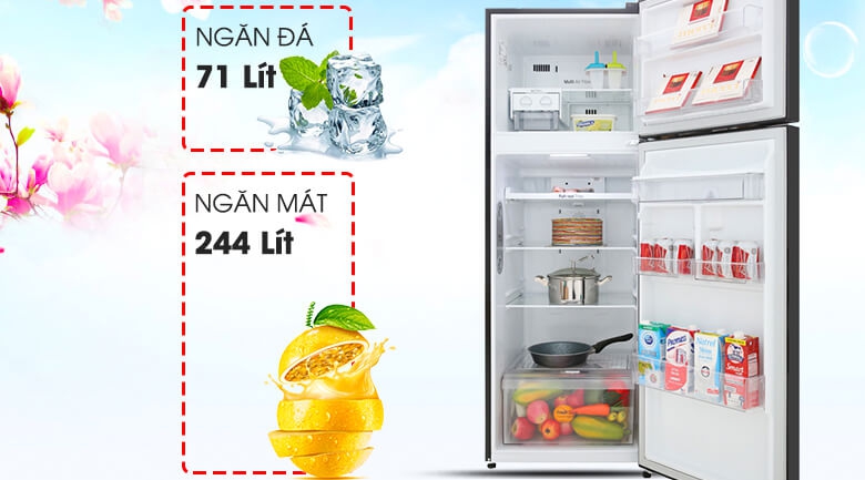 Tủ Lạnh Inverter LG GN-D315BL (315L) 2