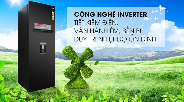 Tủ Lạnh Inverter LG GN-D315BL (315L) 3