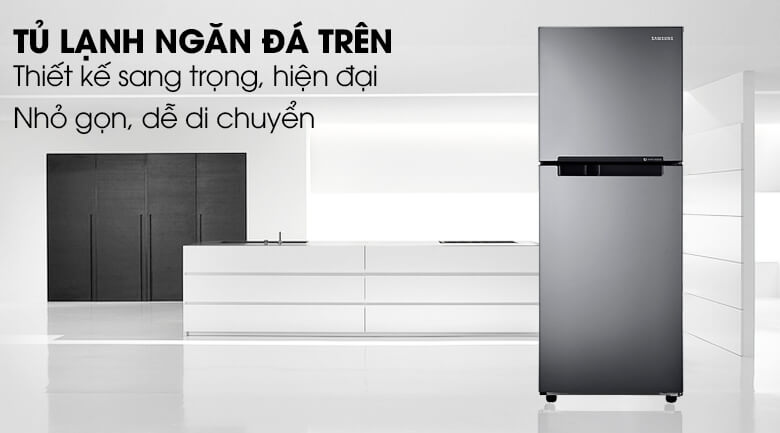 Tủ Lạnh Samsung Inverter 208 Lít RT19M300BGS/SV 1