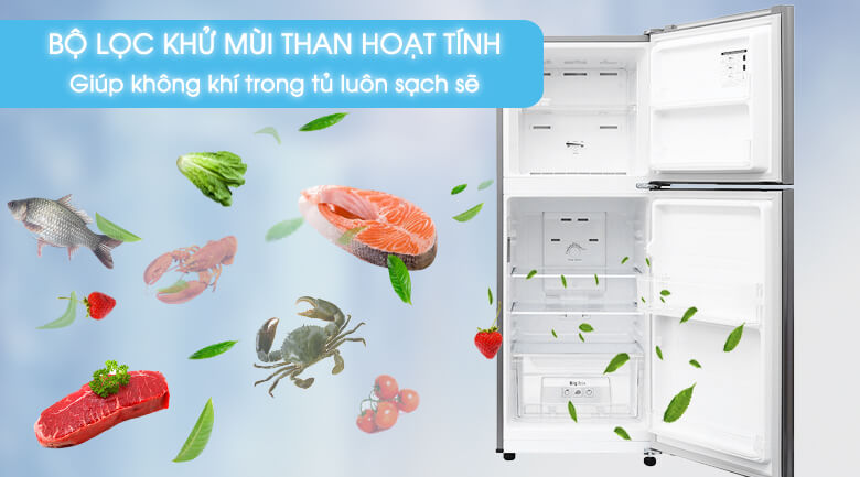 Tủ Lạnh Samsung Inverter 208 Lít RT19M300BGS/SV 3