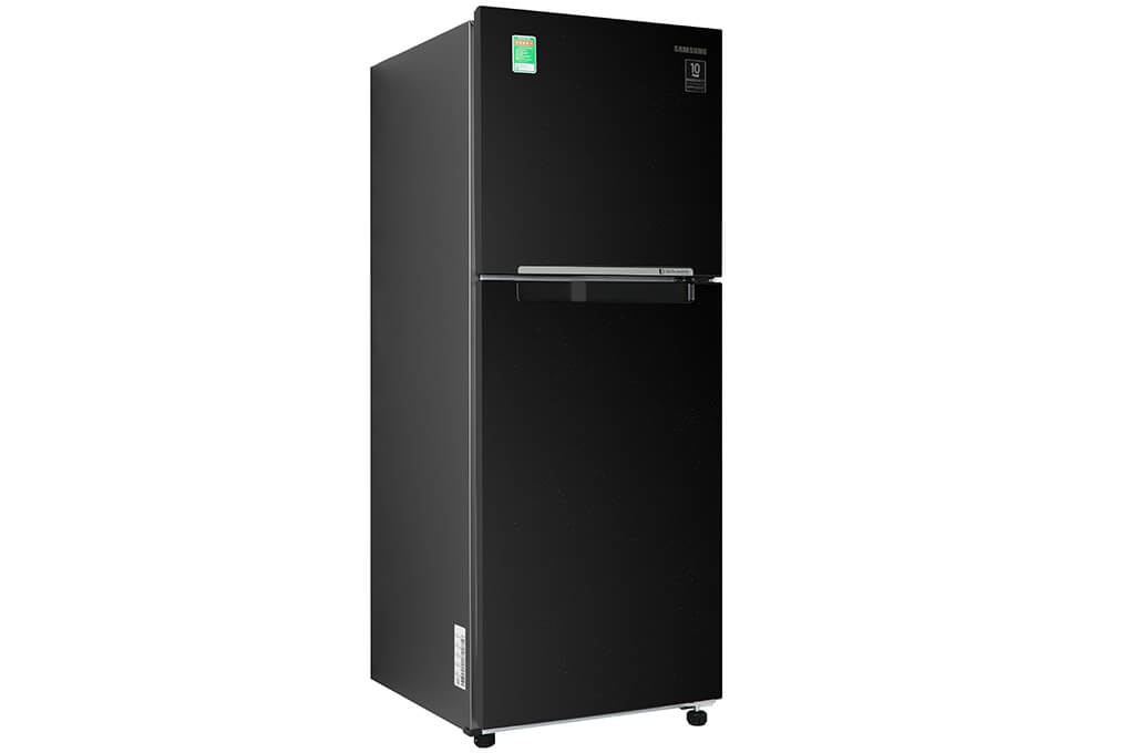 Tủ Lạnh Samsung Inverter 208 Lít RT20HAR8DBU/SV