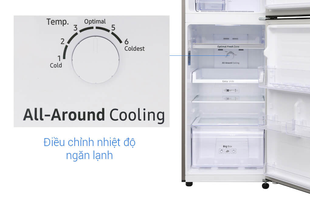 Tủ Lạnh Samsung Inverter 236 Lít RT22M4040DX/SV