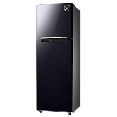Tủ lạnh Samsung Inverter 236 lít RT22M4032BU/SV