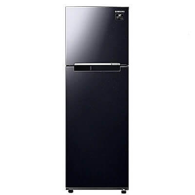 Tủ lạnh Samsung Inverter 236 lít RT22M4032BU/SV