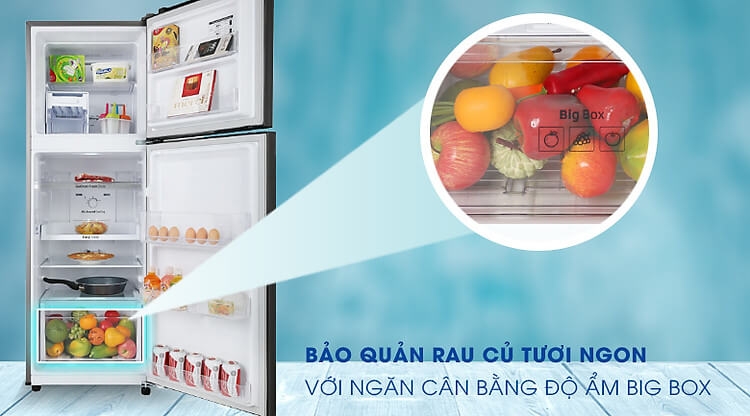 Tủ lạnh Samsung Inverter 236 lít RT22M4032BU-SV 2