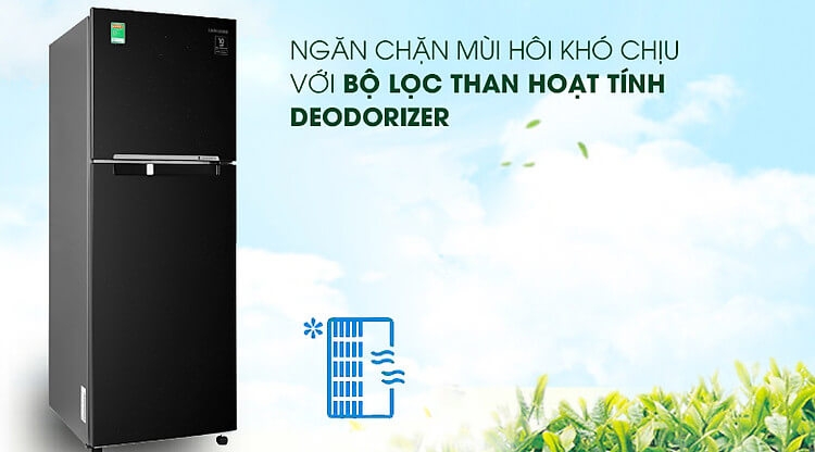 Tủ lạnh Samsung Inverter 236 lít RT22M4032BU-SV 4