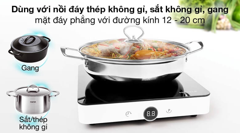Bếp từ đơn Hafele HSI-21FW 810