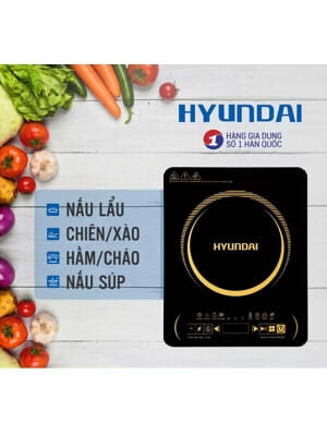 Bếp Từ Đơn Hyundai HDE 1120 (1800W) 1