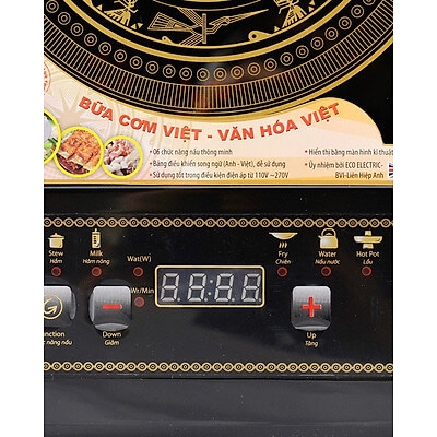 Bếp Điện Từ Honeys HO-IC20B4