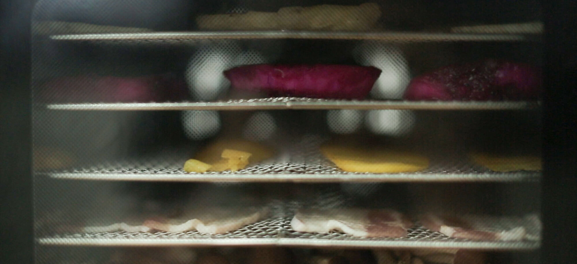 Máy Sấy Thực Phẩm Thế Hệ Mới GE Black 12 Khay 7