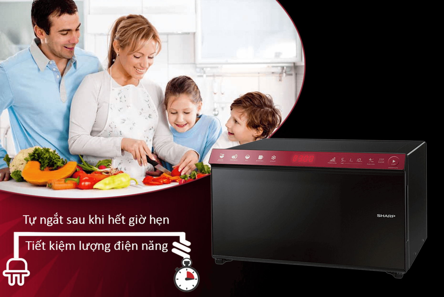 Lò Vi Sóng Điện Tử Sharp R-29D2(R)VN - 22L 4