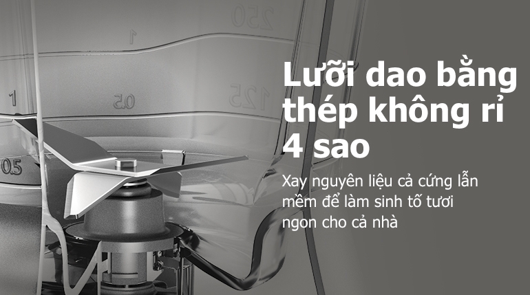 Máy Xay Sinh Tố Philips HR2056 (450W) 3