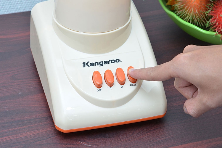 Máy Xay Sinh Tố Kangaroo KG 305 (350W) 1
