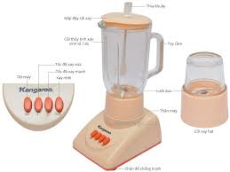 Máy Xay Sinh Tố Kangaroo KG 305 (350W)