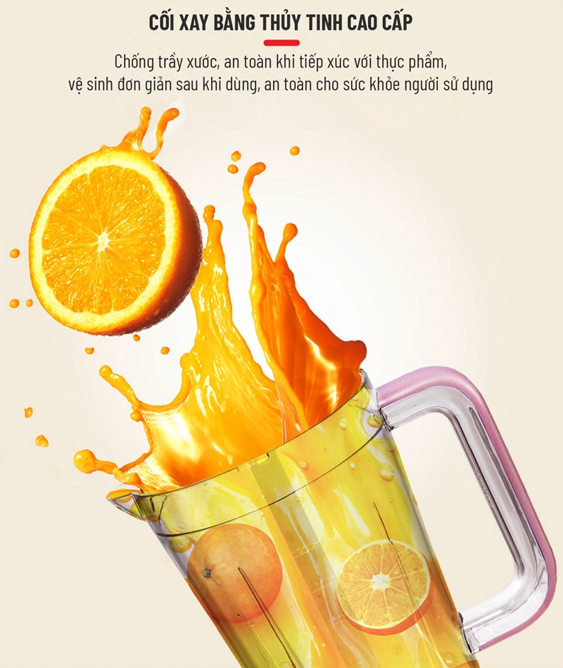 Máy Xay Sinh Tố Nagakawa NAG0806 2