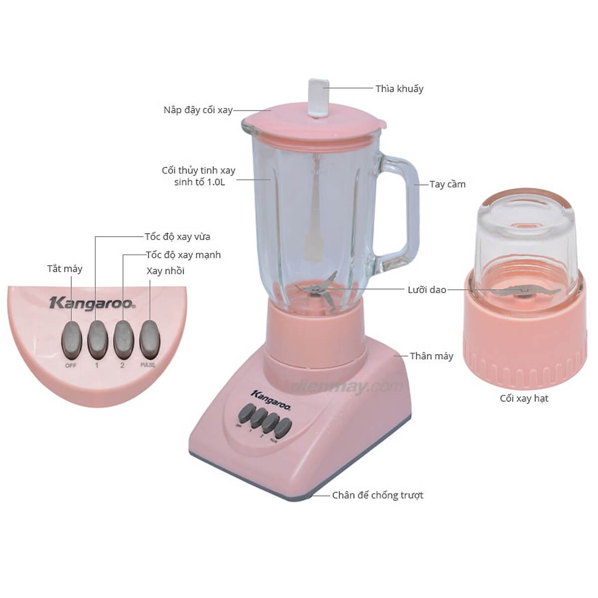 Máy Xay Sinh Tố Kangaroo KG304 - 1L