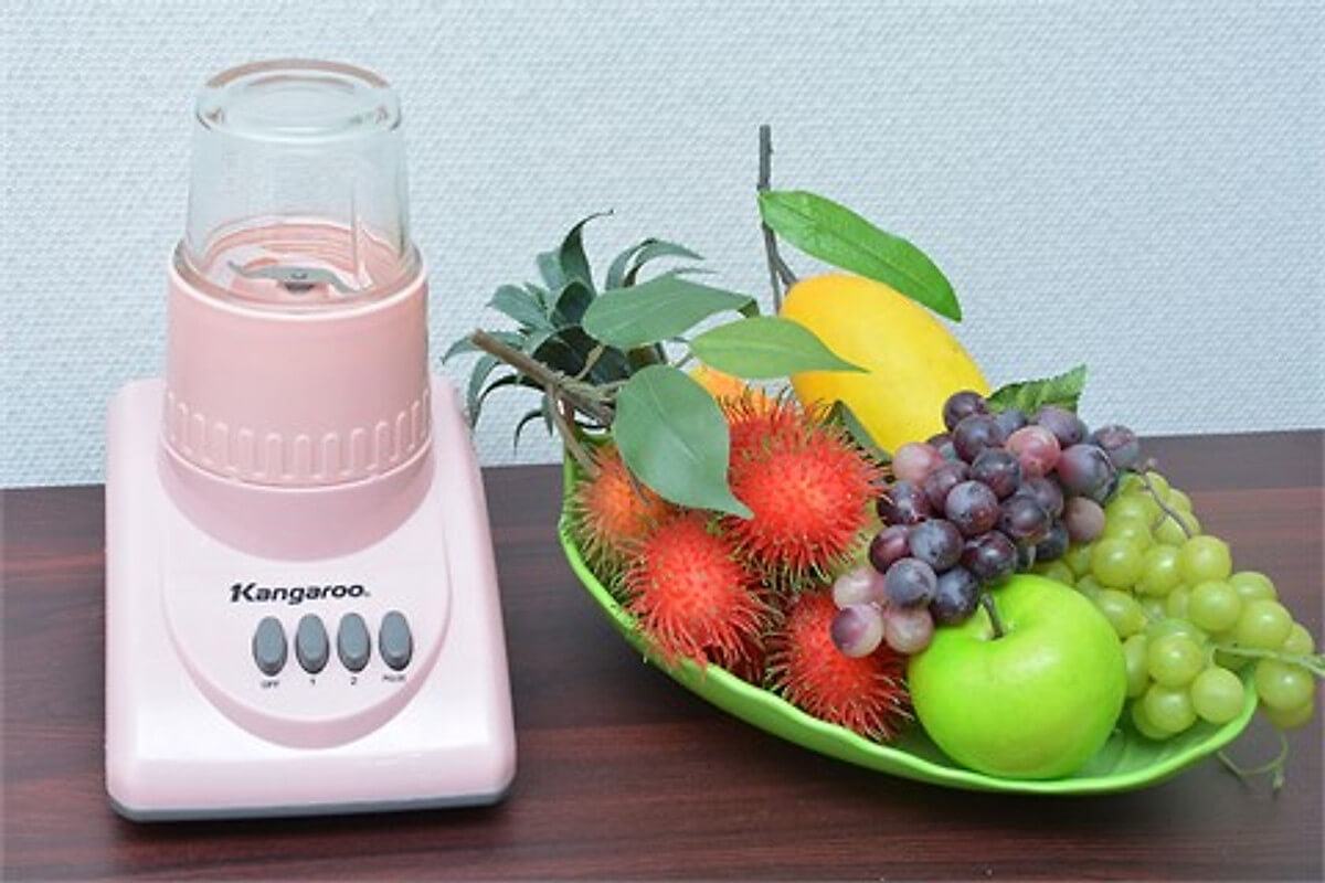 Máy Xay Sinh Tố Kangaroo KG 304 - 1L 2