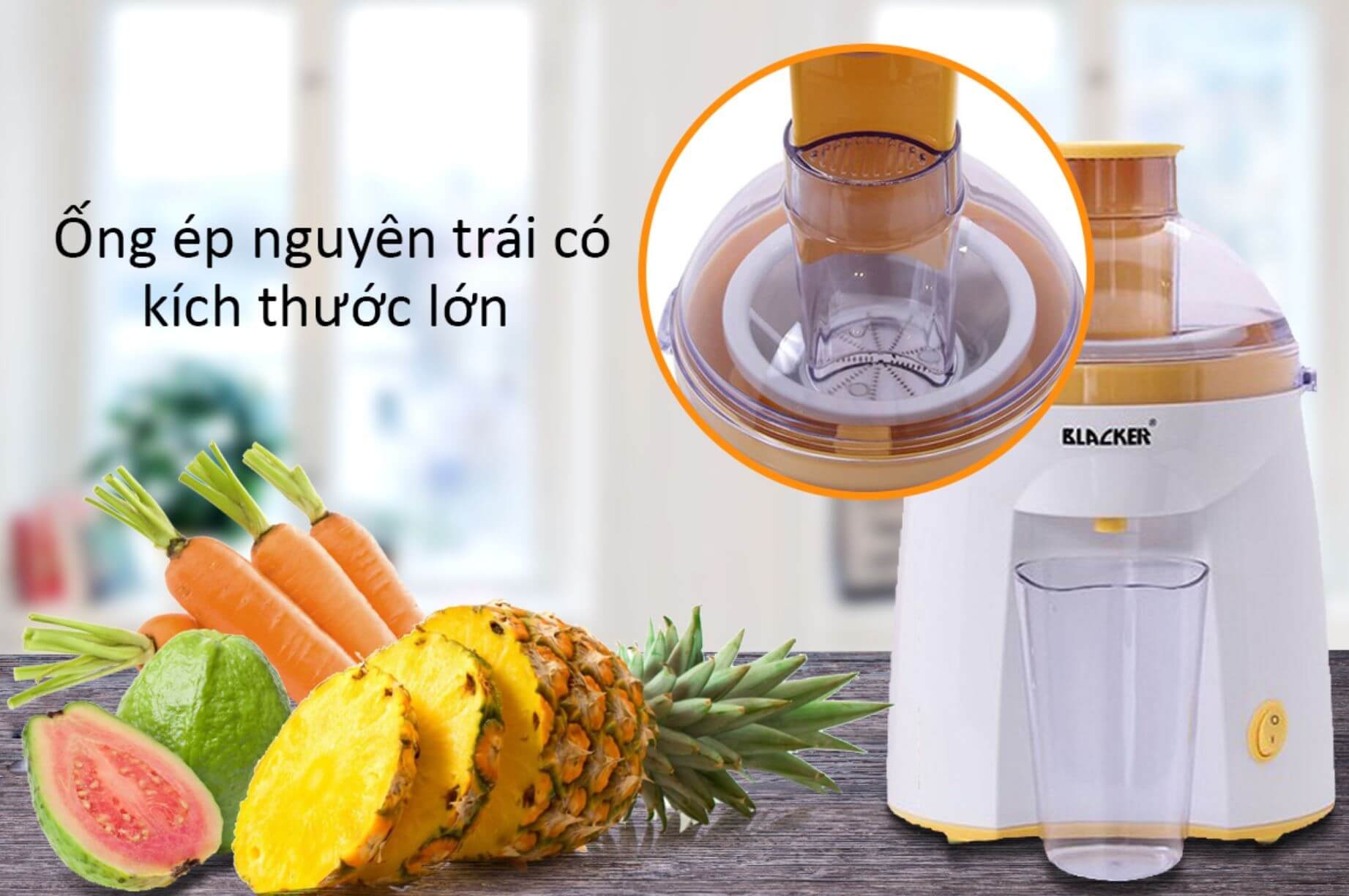 Máy Ép Trái Cây Blacker SL280 1