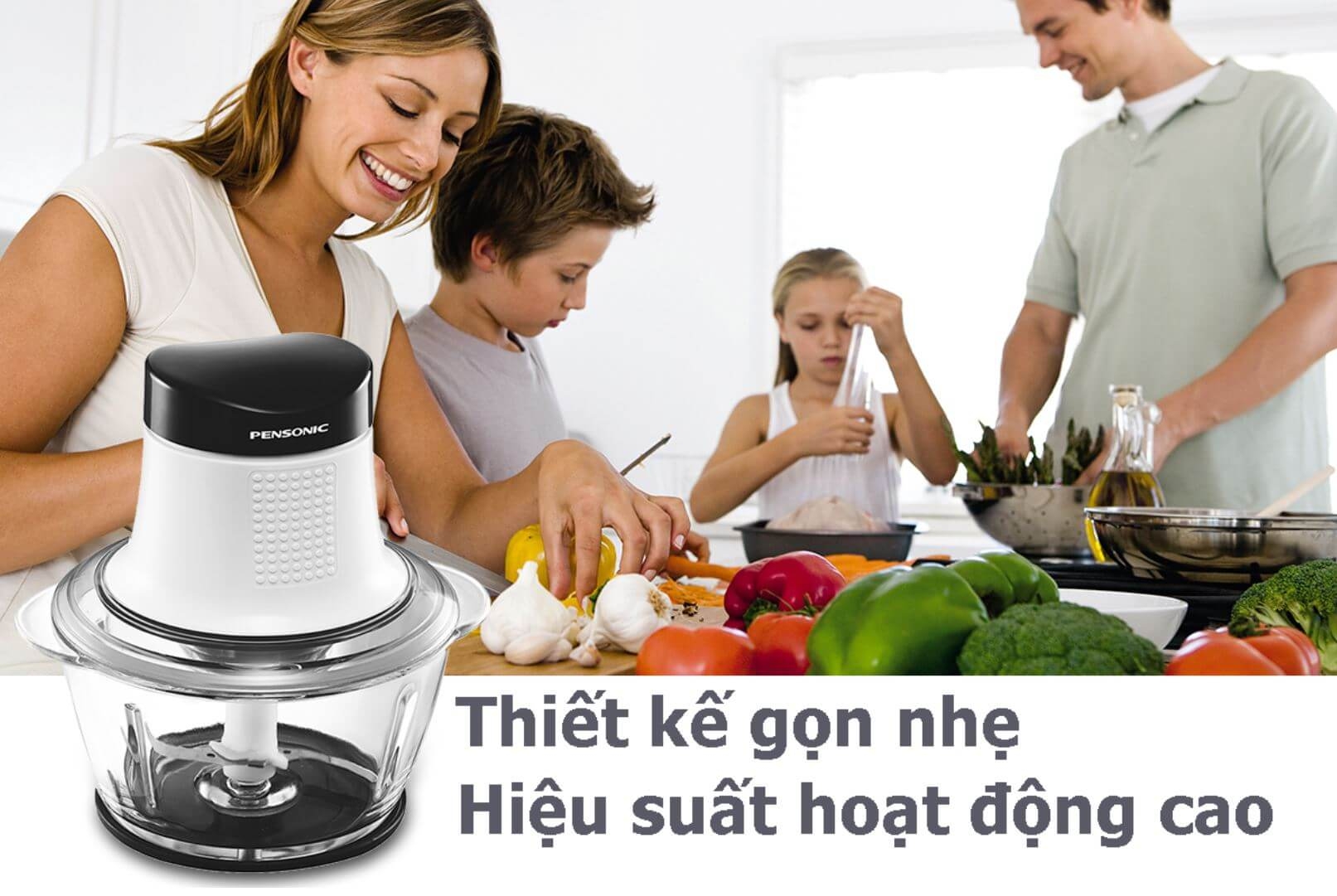 Máy Xay Thịt Pensonic PB-6001G 1
