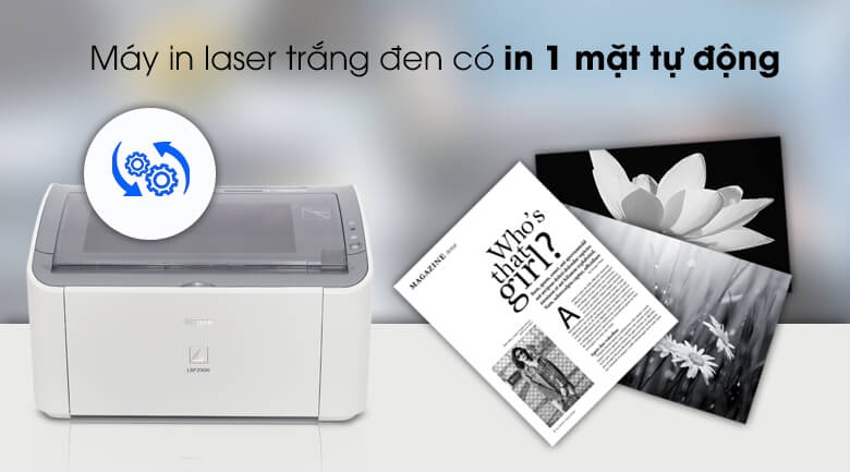 Máy In Laser Đơn Năng Canon LBP 2900 3