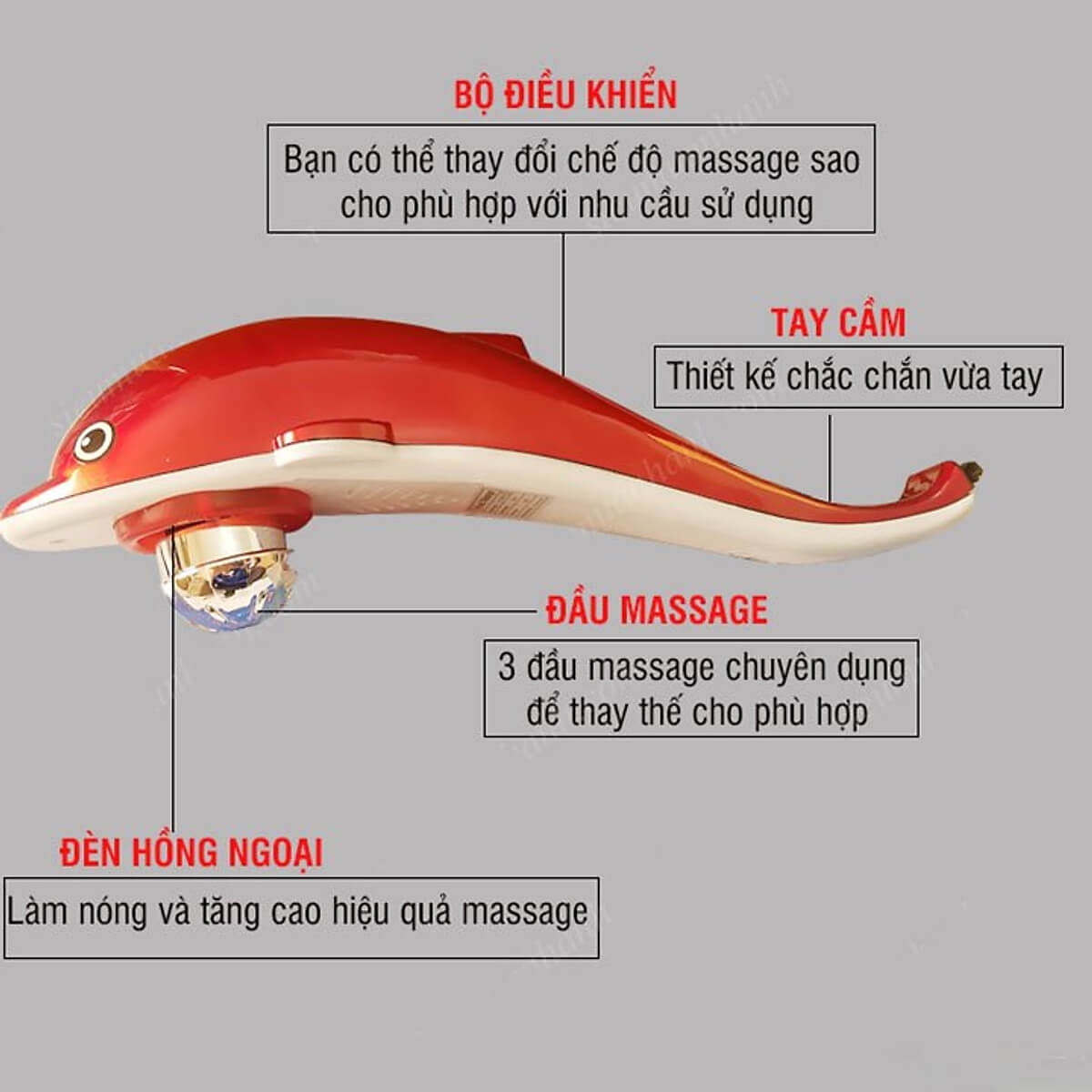 Máy Massage Cơ bụng, Eo, Lưng cầm tay Cá Heo 2