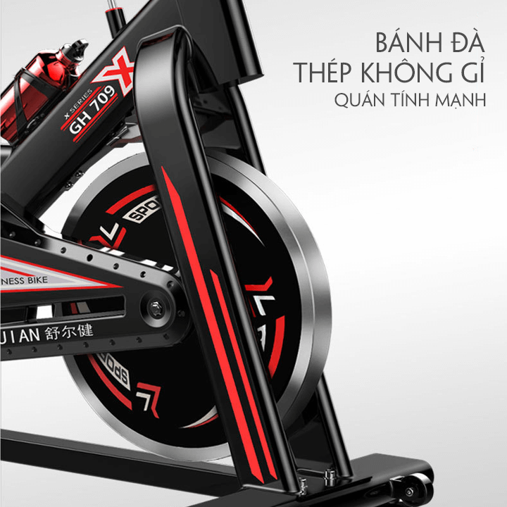 Xe đạp tập thể dục T-366 4