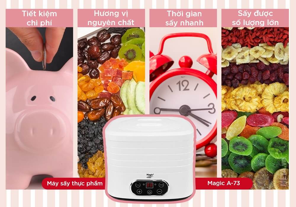 Máy Sấy Thực Phẩm Magic A-73