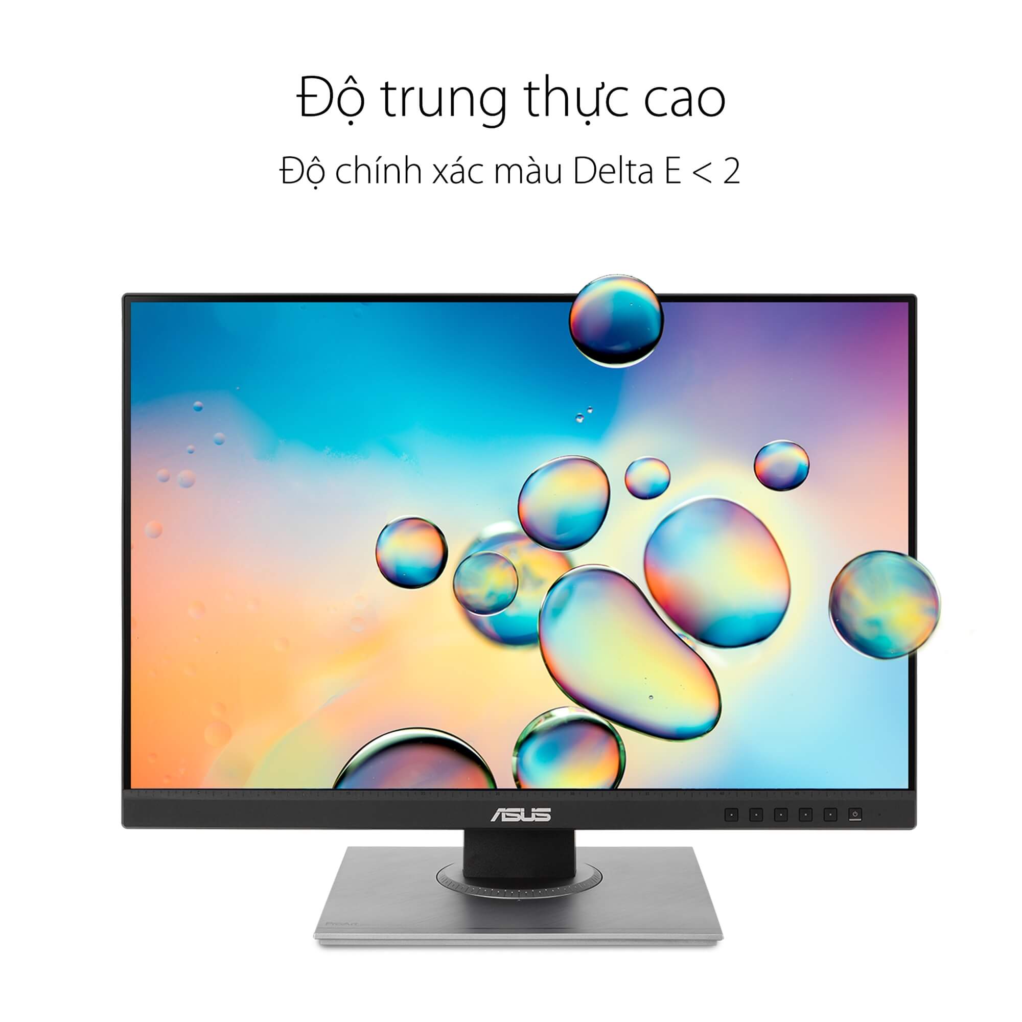 Màn Hình Chuyên Đồ Họa Asus ProArt PA248QV 1