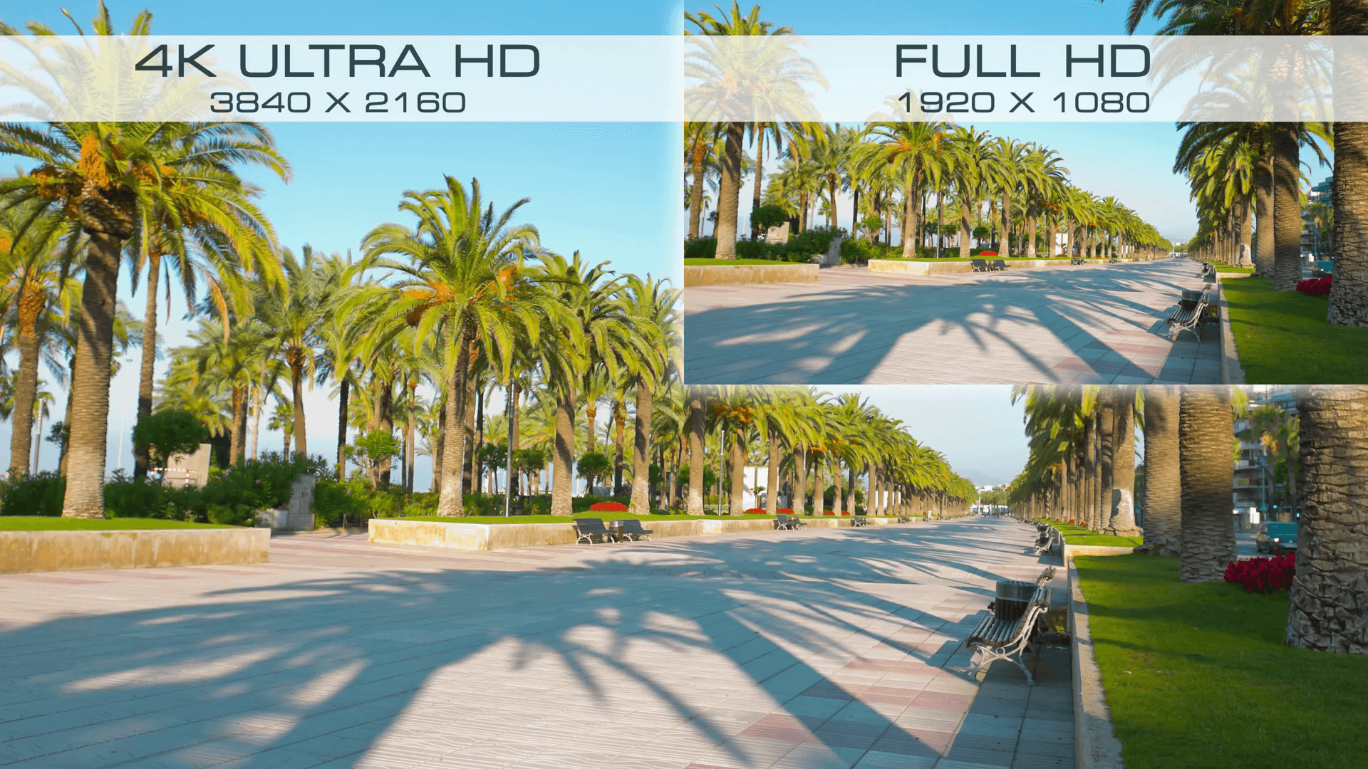 Màn Hình Máy tính Viewsonic VX3211-4K-MHD 32 inch 4K 3