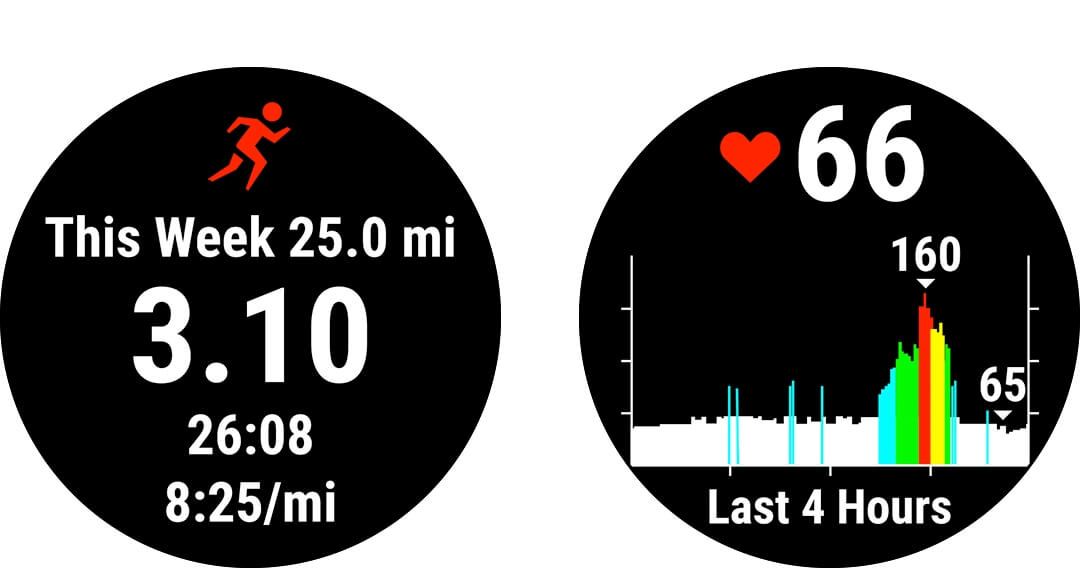 Đồng Hồ Thông Minh Theo Dõi Vận Động Theo Dõi Sức Khỏe Garmin Forerunner 45 3
