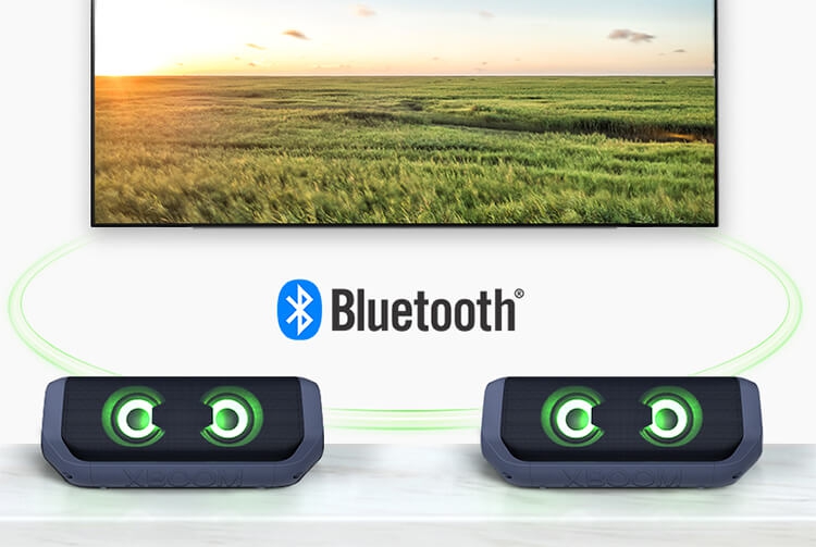 Loa Bluetooth LG XBOOM Go PN7 3