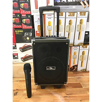 Loa Kéo Karaoke Bluetooth Kiomic Q8 Vân Gỗ Điều Chỉnh Bass, Treble 1