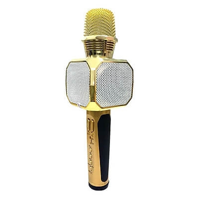 Micro Karaoke Kèm Loa Bluetooth SD10