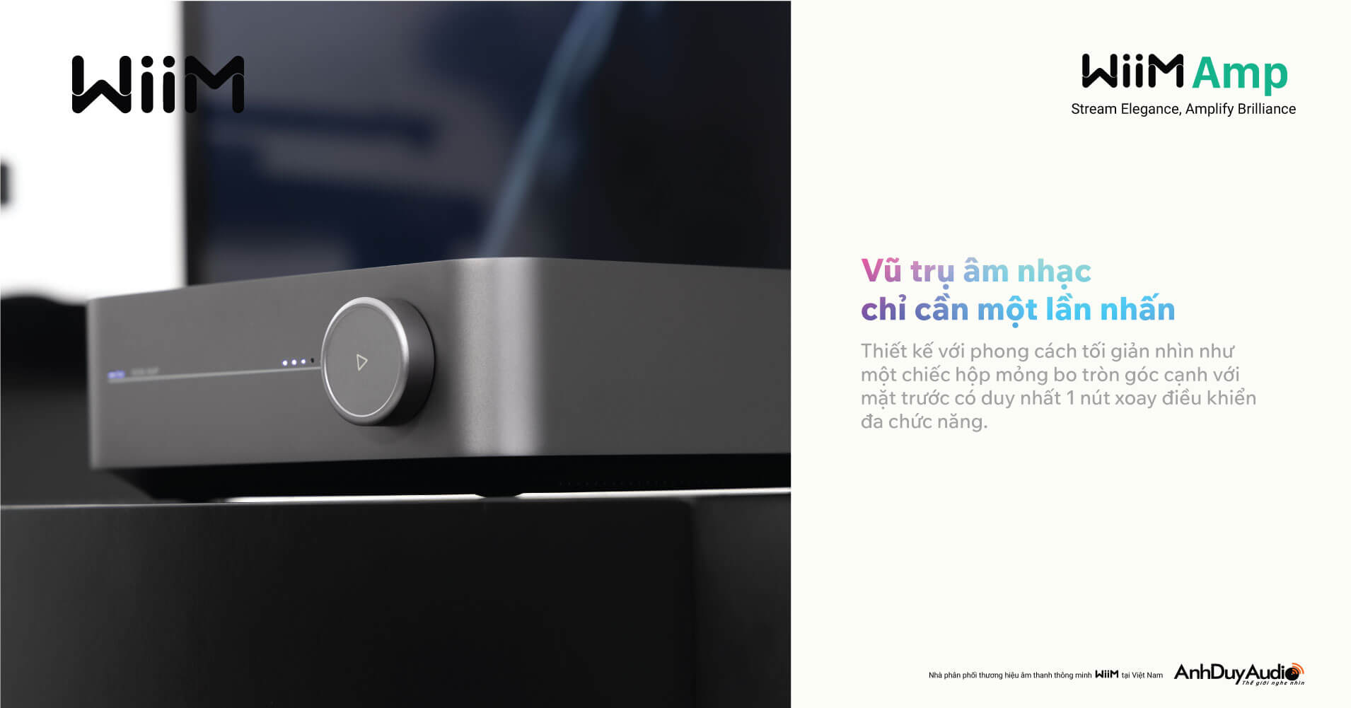 Amply Nghe Nhạc WiiM Amp