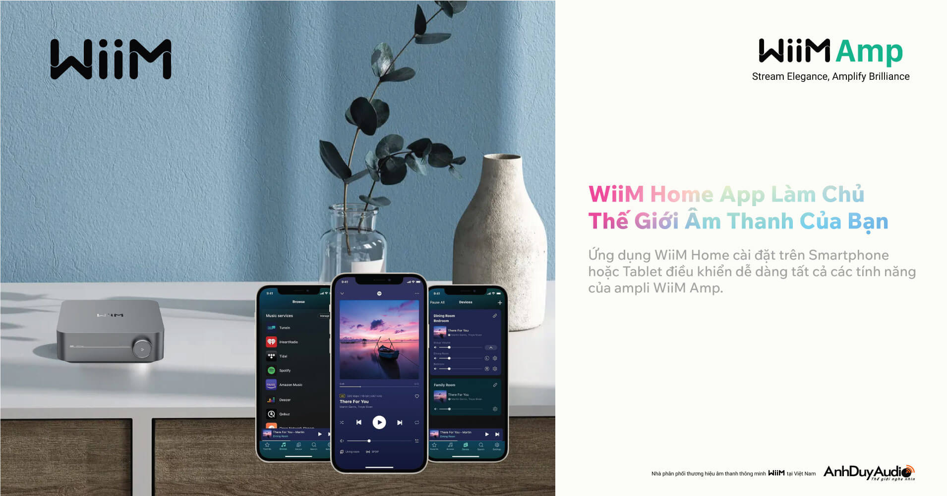 Amply Nghe Nhạc WiiM Amp