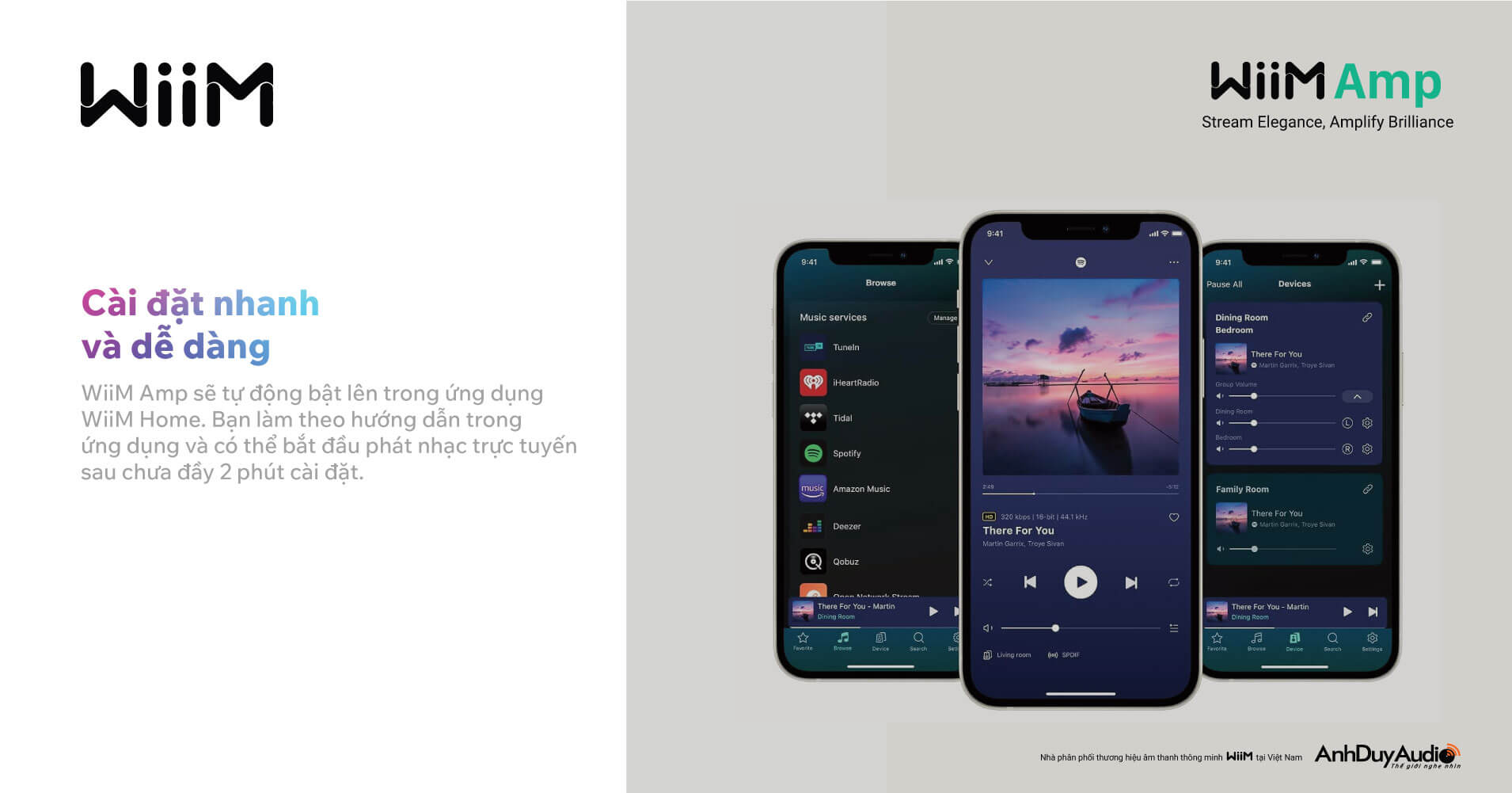 Amply Nghe Nhạc WiiM Amp