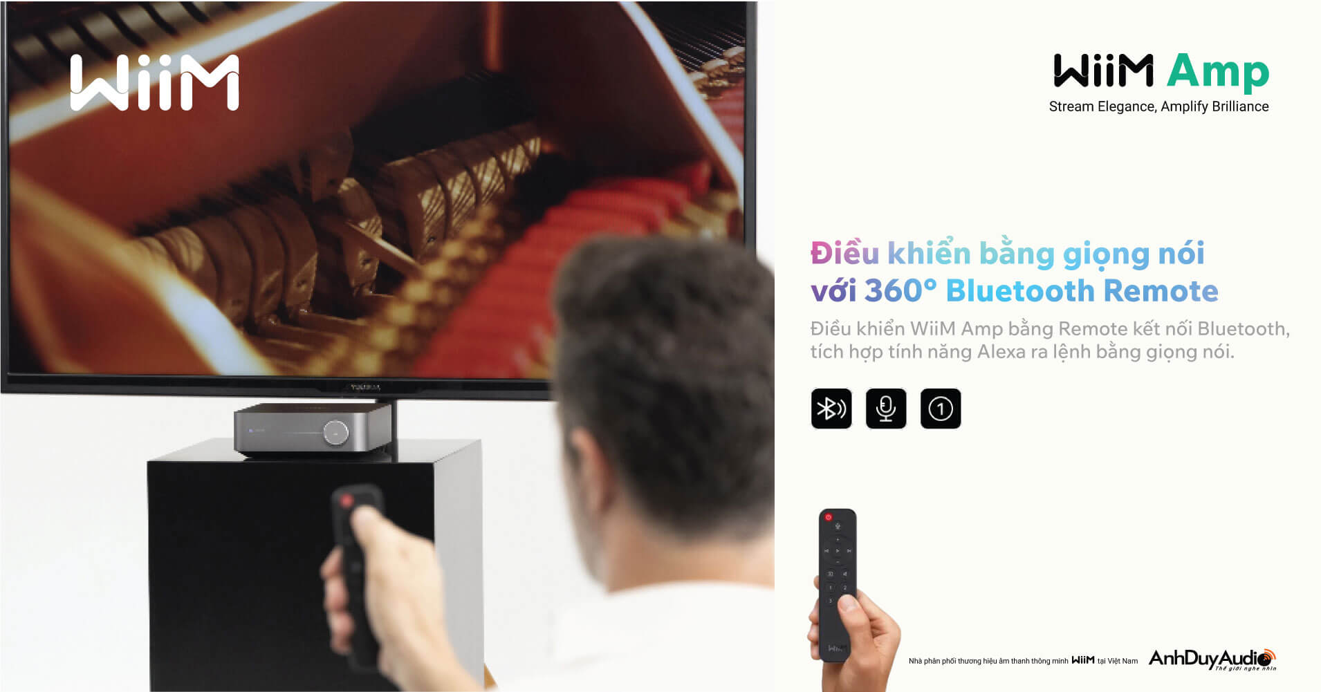 Amply Nghe Nhạc WiiM Amp