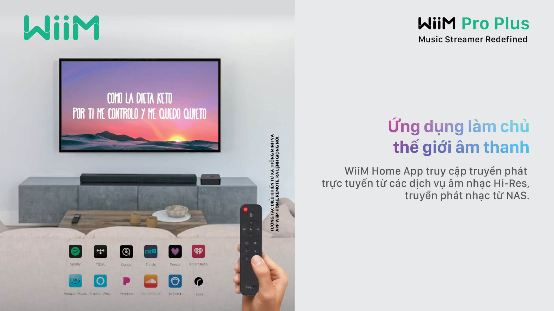 Đầu Phát Streaming Nhạc Số WiiM Pro Plus