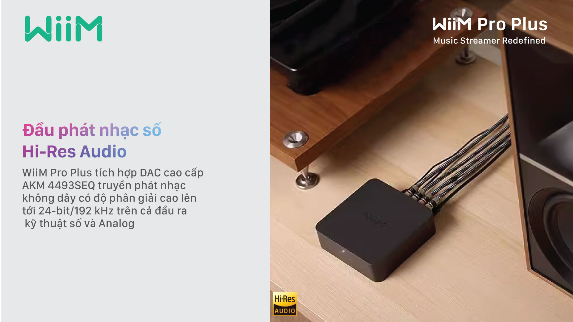 Đầu Phát Streaming Nhạc Số WiiM Pro Plus