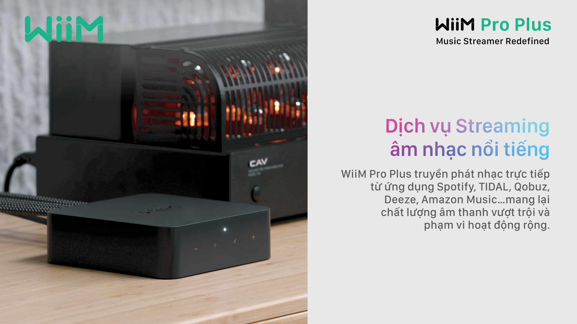 Đầu Phát Streaming Nhạc Số WiiM Pro Plus