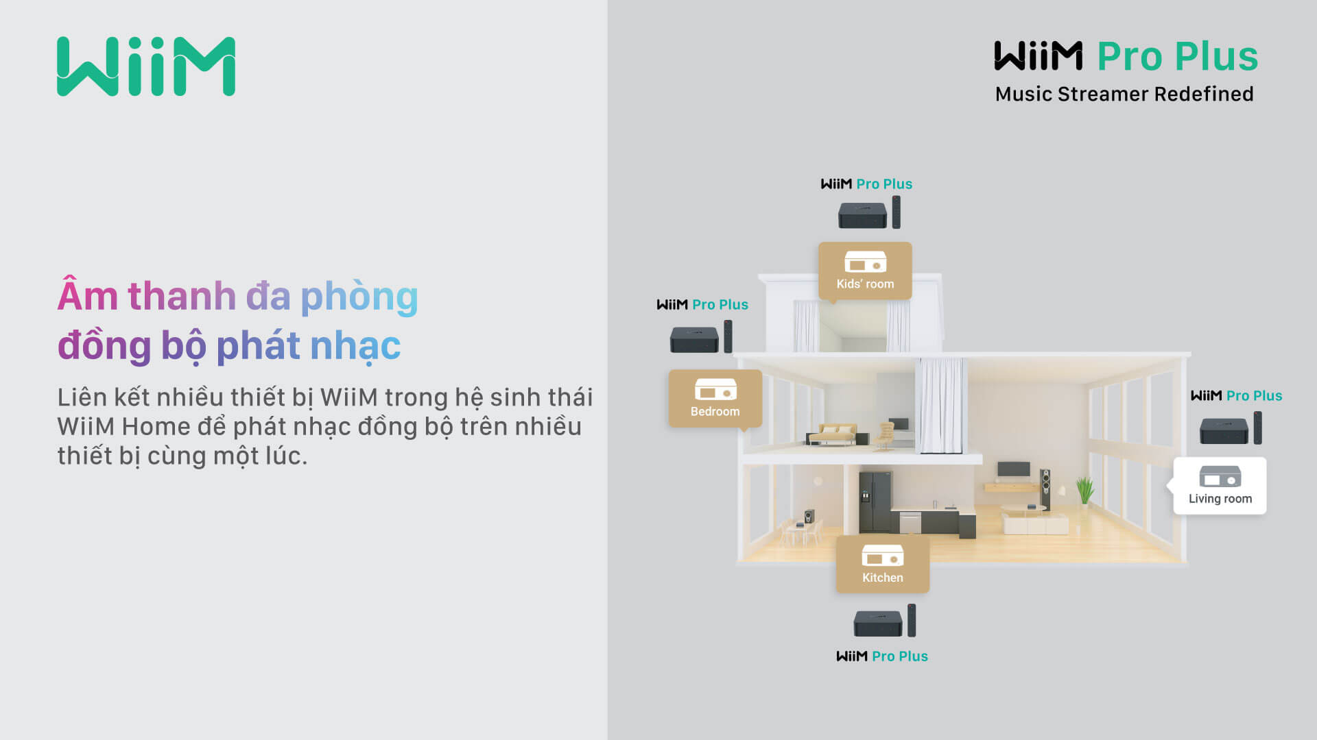 Đầu Phát Streaming Nhạc Số WiiM Pro Plus